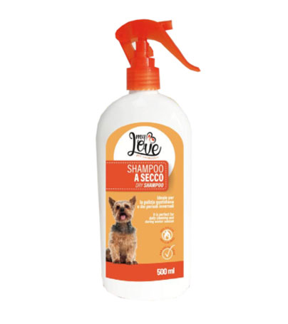 Shampoo A Secco No Gas Cani