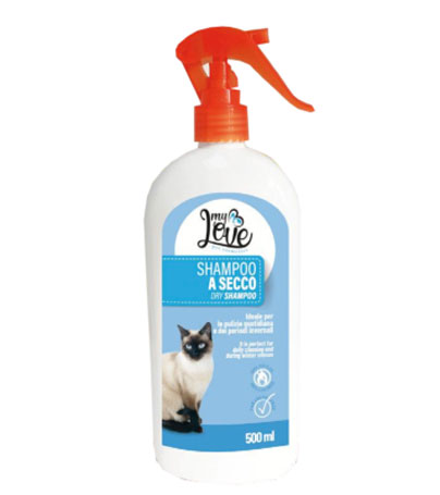 Shampoo A Secco No Gas Gatti