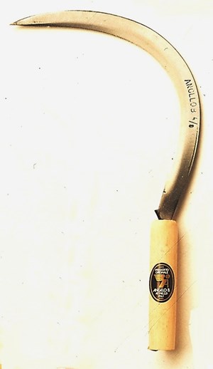 Falciola Cereali Dentata 4/0 Lama 30 cm – Angelo Bergamasco
