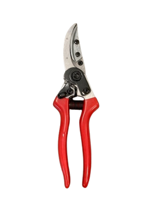 Angelo Bergamasco – Forbice Rosy Pruner 21