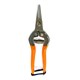 Angelo Bergamasco – Forbice Cogliagrumi 16,5 cm Inox Becchi Corti Curvi