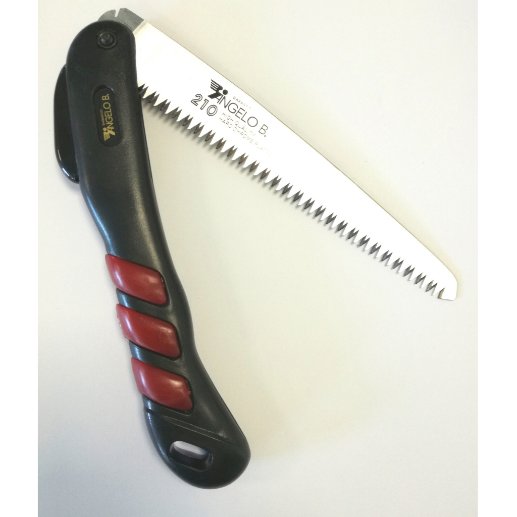 Segaccio Professionale Pieghevole Lama Giapponese 21 cm - Angelo Bergamasco