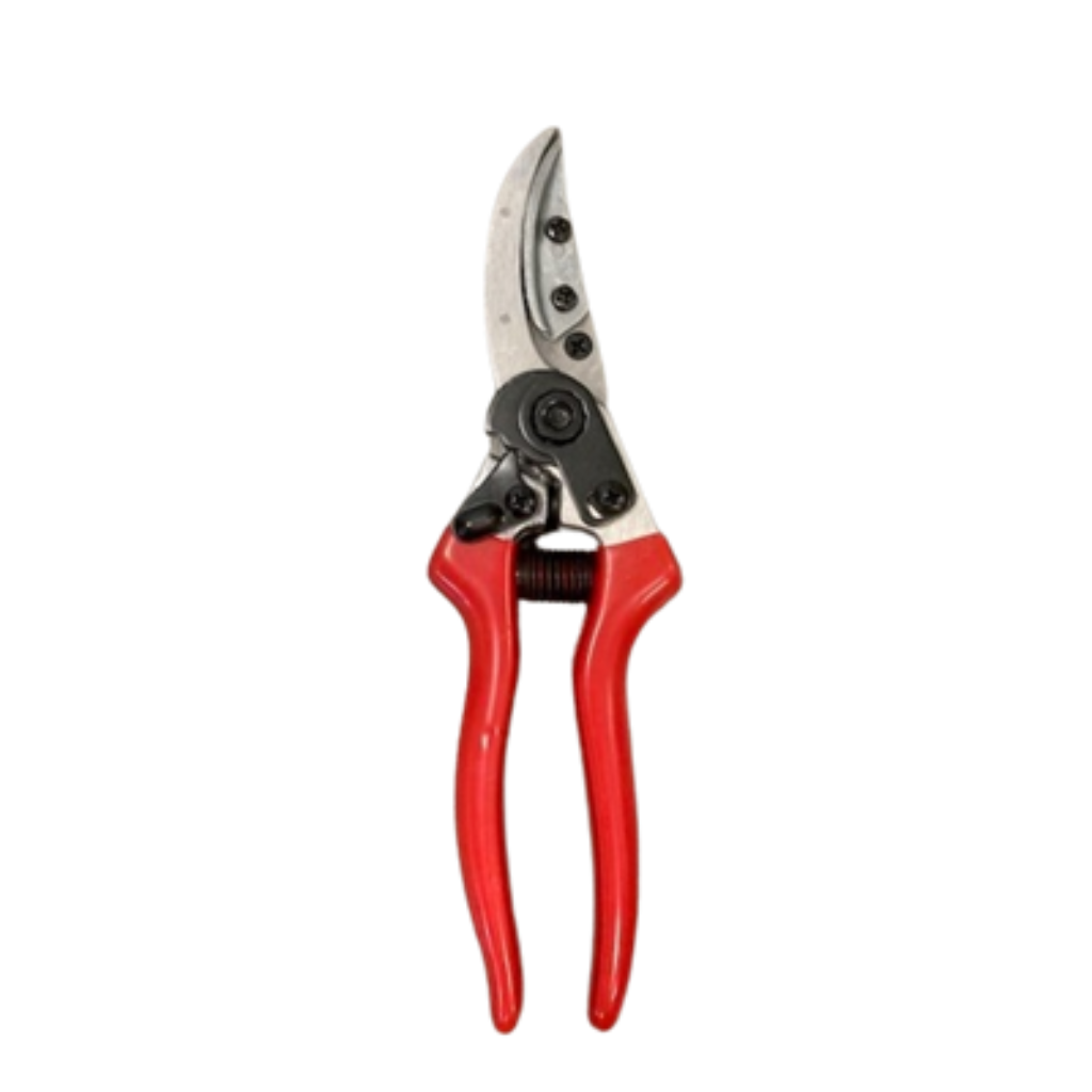 Angelo Bergamasco – Forbice Rosy Pruner 21